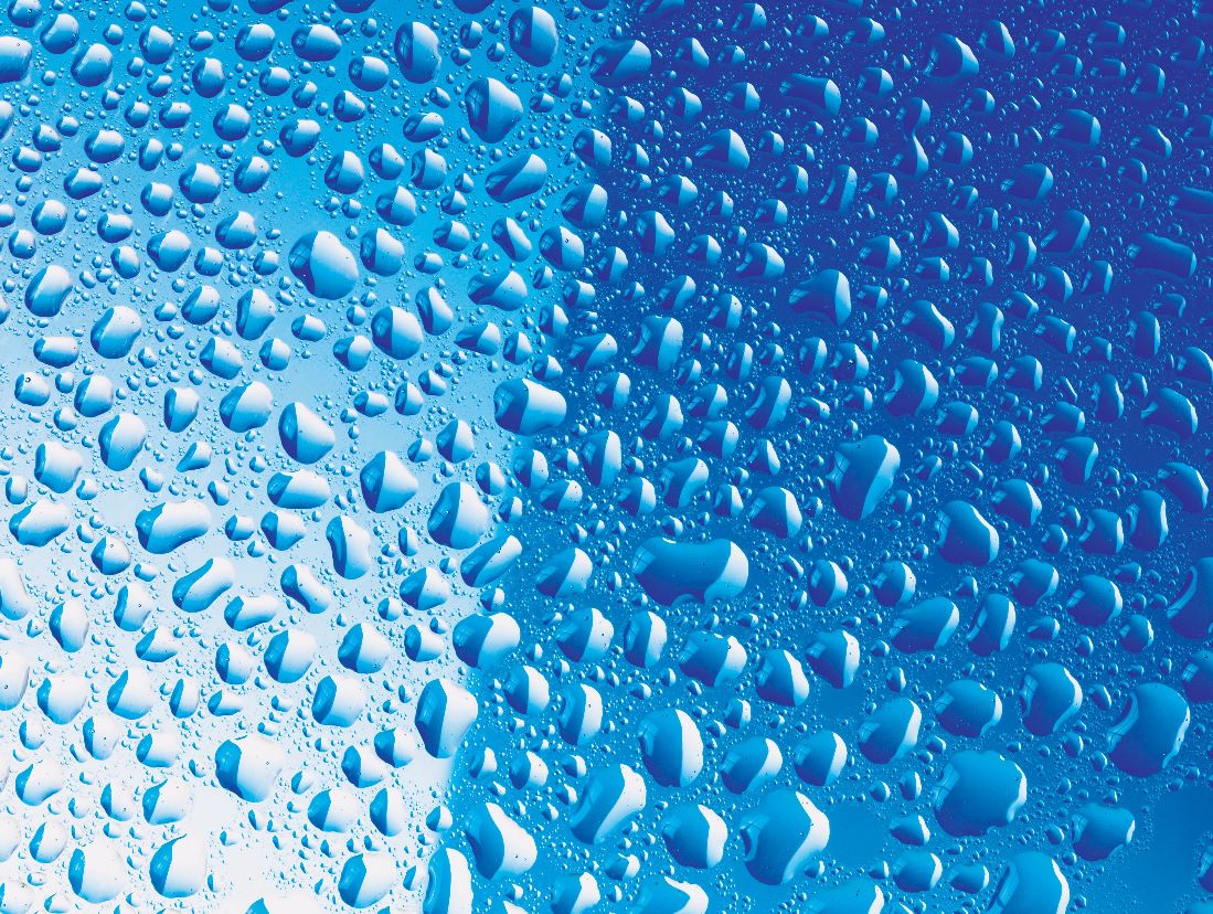 1682561860609417.jpg 1682561860609417.jpg